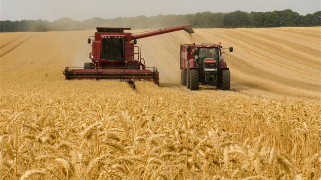 Funds:  Βig sellers of corn, wheat, soyoil amid global market meltdown