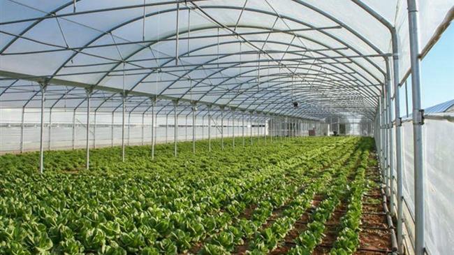 Χανιά: Μέτρα στήριξης ζητούν οι αγρότες της επαρχίας Σελίνου