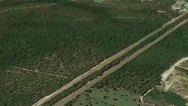 Π.Ε.Δ.Δ.Υ: Αλήθειες και ψέματα για την αναμόρφωση των δασικών χαρτών