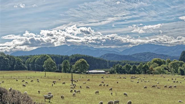 Αποζημιώσεις χωρίς ενημερότητα για όλους τους κτηνοτρόφους, ζητά ο Κόκκαλης