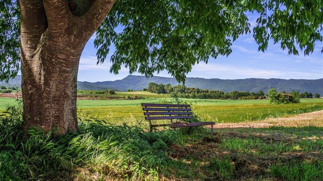 Εξελίξεις στο έργο της στάγδην άρδευσης στις Πρέσπες