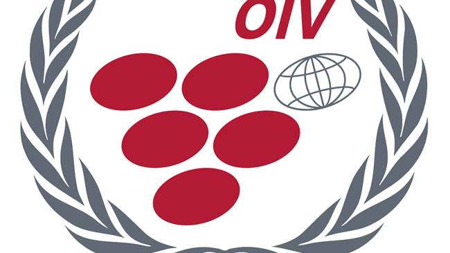 OIV: Το να λέμε ότι το κρασί έχει οποιαδήποτε επίδραση στον κοροναϊό είναι "ανεύθυνο"