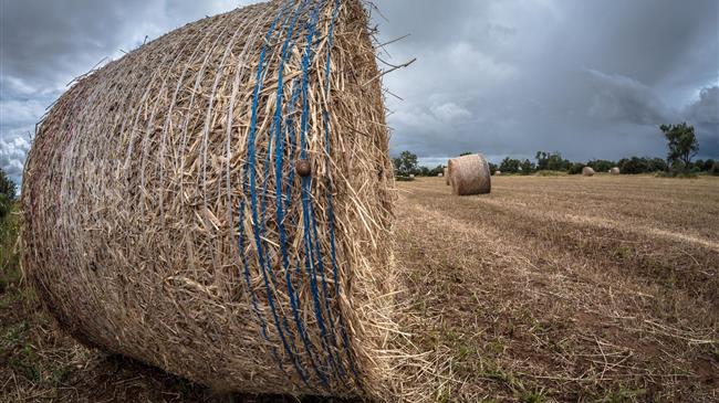 Θ. Πετράκος: Στον αέρα οι αγροτικές επιδοτήσεις
