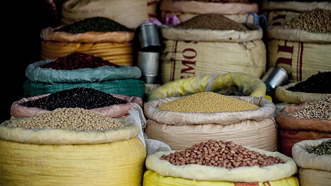 Experts urge public to pack diets with pulses for the health of people, planet and animals on World Pulses Day