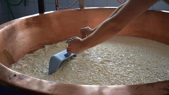 Αβέβαιο το μέλλον της τυροκομίας στη Θεσσαλία