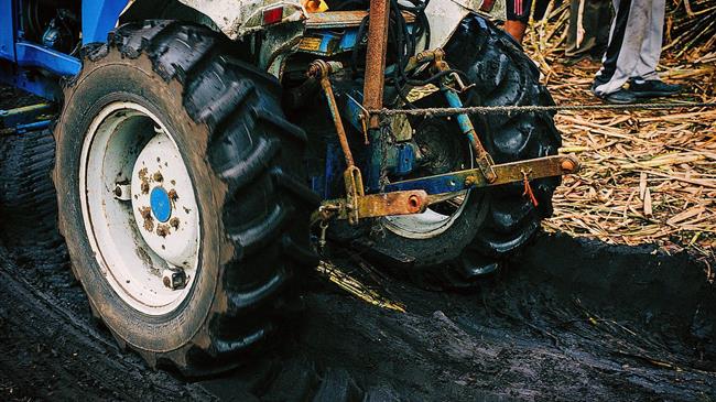  Μπαγινέτας: Η διασφάλιση της βιωσιμότητας του πρωτογενούς τομέα είναι ζωτικής σημασίας