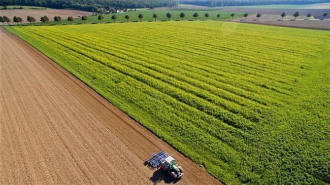 Δόθηκε παράταση υποβολής στοιχείων συμβάσεων συμβολαιακής γεωργίας