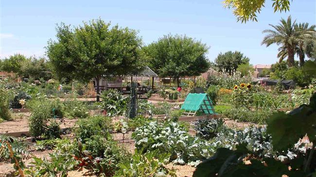 Μετατίθεται η ημερομηνία έναρξης για τον Πράσινο αγροτουρισμό