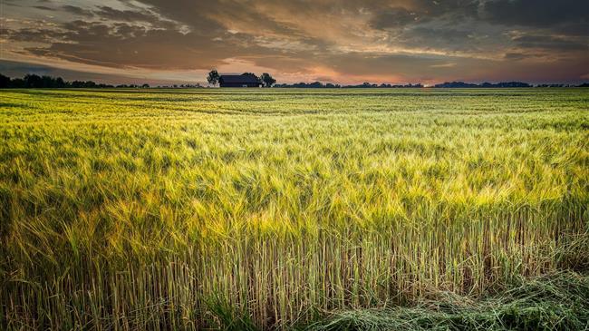 COVID-19: Our hungriest, most vulnerable communities face “a crisis within a crisis”