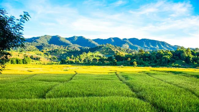 Οι ηγέτες της γεωργίας ζητούν κρατική βοήθεια με επιδοτήσεις και περιβαλλοντικές πληρωμές