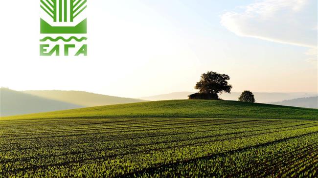 ΕΛΓΑ: Επιμήκυνση της προθεσμίας για προσωρινή δήλωση ζημίας