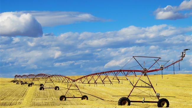 Η Γεωργία μετά το κορωνοϊό