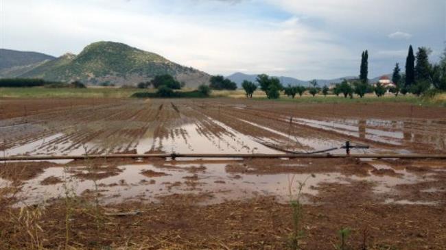 ΣΥΡΙΖΑ: ο ΕΛΓΑ  ξέμεινε από προσωπικό.