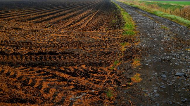 Καταγγελία ΠΑΣΟΚ- Θρίλερ η πληρωμή της βασικής ενίσχυσης για τους αγρότες