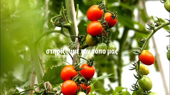 Ανάγκη για νέο φορέα εξαγωγών αγροτικών προϊόντων