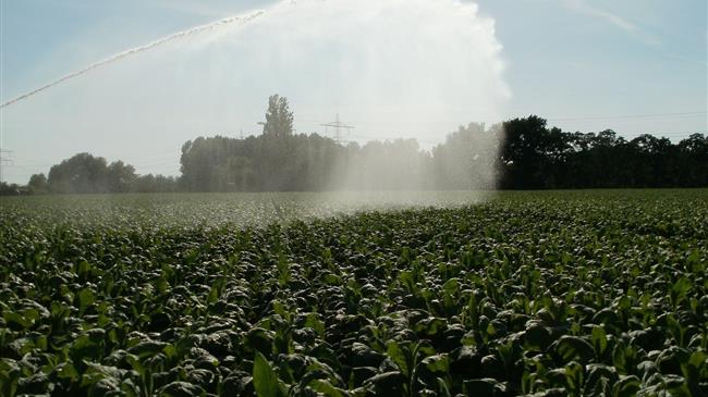 Ενίσχυση 11,3 εκατ. ευρώ στους καπνοπαραγωγούς, λόγω πανδημίας