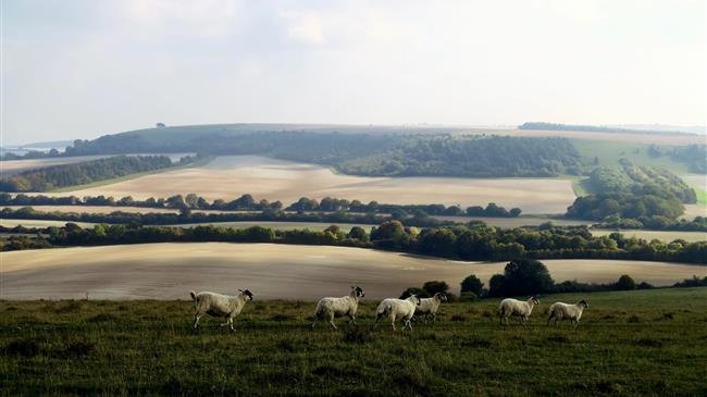 Οι Ιρλανδοί αγρότες επιτίθενται στην Ευρωπαική Επιτροπή