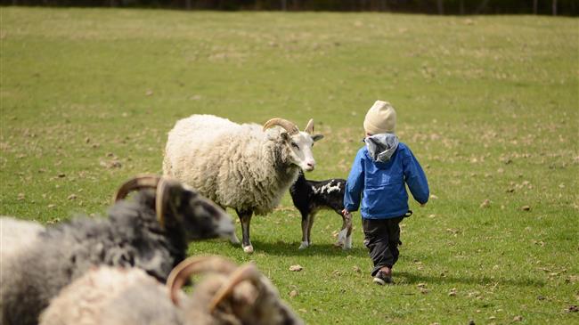 Υποβολή αιτήσεων στήριξης έτους 2020  για το Μέτρο 13