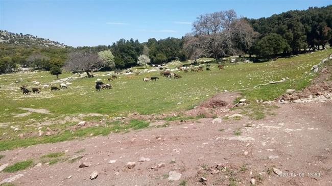 Αποστόλου: Το περιβάλλον βάλλεται ακόμη μια φορά 
