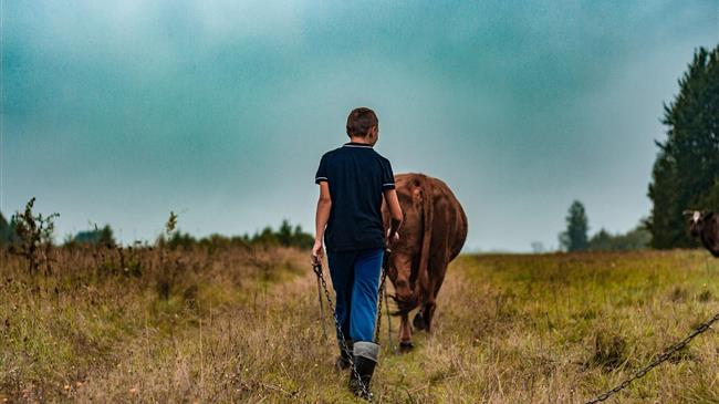 Χιλιάδες Ρουμάνοι εργάτες κατευθύνονται προς τη Γερμανία παρά τους περιορισμούς του COVID-19