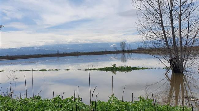 Πλημμύρες: Τριάντα χιλιάδες στρέμματα με καλλιέργειες πλημμύρισαν στο Ζάρκο