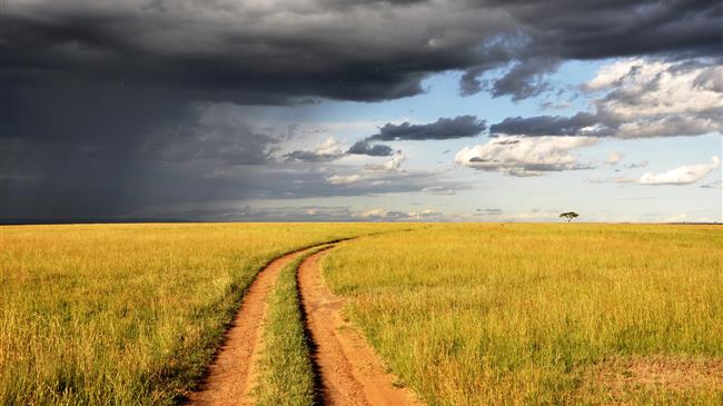 Δημιουργία επισιτιστικής ασφάλειας κατά τη διάρκεια της πανδημίας