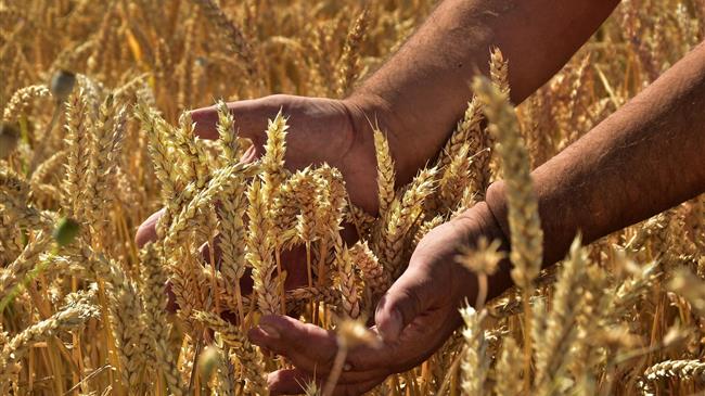 Κοροναϊός και πρωτογενής παραγωγή