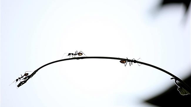 Ελλάδα: Βουτιά 9,7% στο ΑΕΠ φέτος, ανάπτυξη 7,9% το 2021