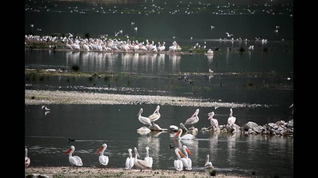 Τους  76 υγρότοπους της Θεσσαλίας αναδεικνύει η Περιφέρεια 