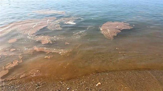 Φυτοπλαγκτόν στις θάλασσες λόγω καιρικών συνθηκών