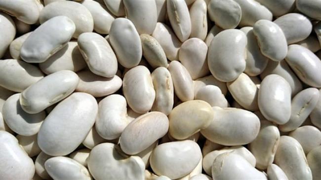 Πιστοποίηση ΠΓΕ για τα φασόλια Κατταβιάς Ρόδου