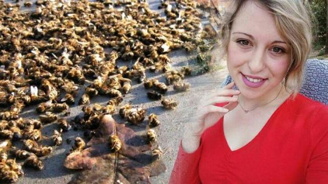 Αν οι μέλισσες εξαφανιστούν, το ανθρώπινο είδος θα εξαφανιστεί μέσα σε τέσσερα χρόνια