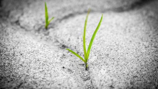 Πρωτοβουλία της Ευρωπαϊκής Επιτροπής για το μέλλον του αγροτικού τομέα