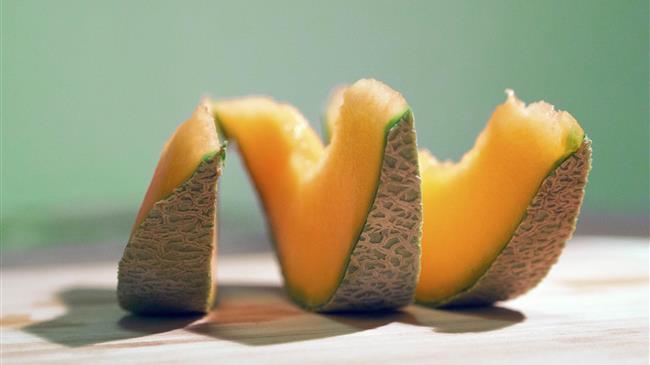 Ασθένειες και Εχθροί των Υπαίθριων Πεπονιών