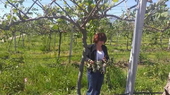 Φ.Καρασαρλίδου: Επαφές με ΕΛΓΑ και αγρότες για τις πρόσφρατες καταστροφές 