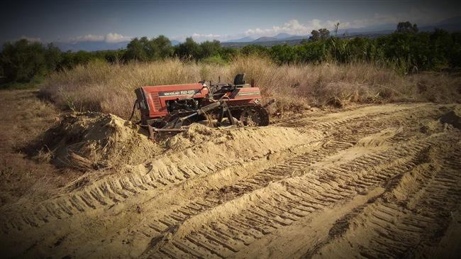 ΣτΕ: Αντισυνταγματική η  εξαγορά παρανόμως εκχερσωμένων εκτάσεων
