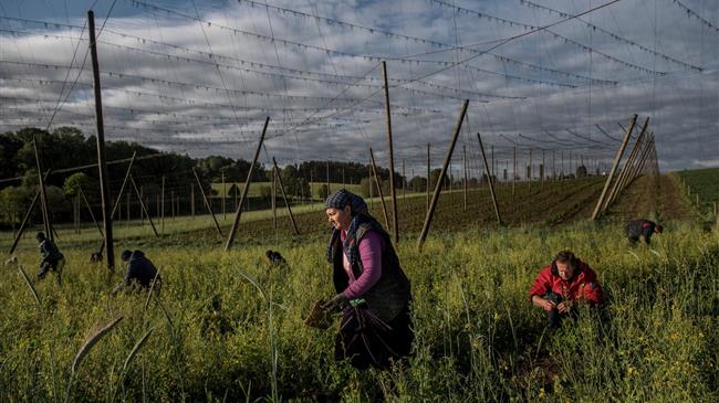 Οι ανησυχίες των Γερμανών αγροτών για τους μετανάστες εργαζόμενους