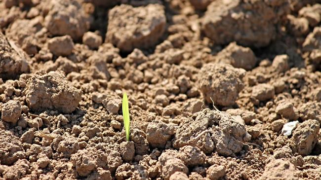 ΟΠΕΚΕΠΕ: Ολοκληρώθηκε η καταβολή του 80% για τις βιολογικές καλλιέργειες