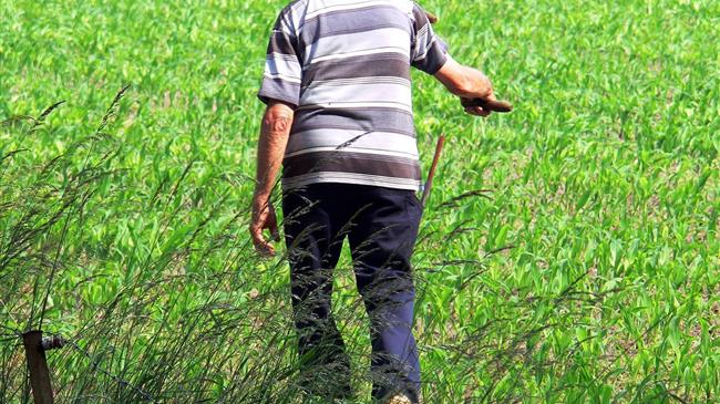 "Κόκκινα" αγροτικά δάνεια: Έρχεται ρύθμιση με το επόμενο νομοσχέδιο του ΥΠΑΑΤ