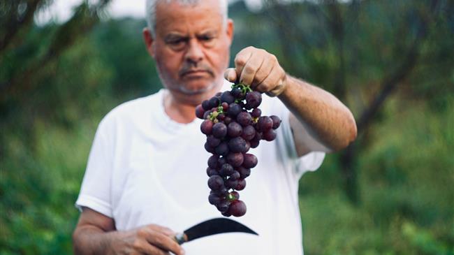 Το οικονομικό πλήγμα του COVID-19 επηρεάζει ήδη τους αγρότες