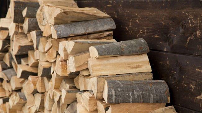 Πάτσης: Μεγάλη καθυστέρηση  στην έγκριση του προϋπολογισμού για την κάλυψη ξυλείας