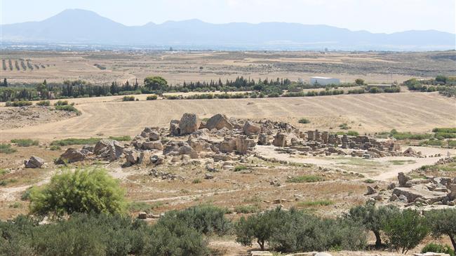 Tunisia’s unique farming systems win recognition as part of the global agricultural heritage