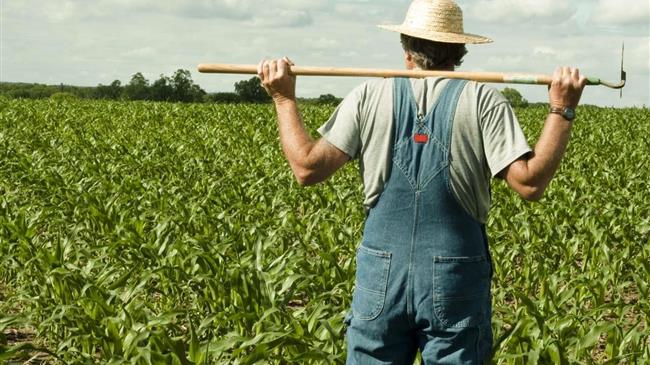 Small family farmers produce a third of the world’s food