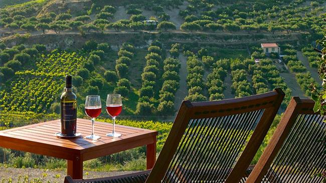 Αμερικανικές στρατηγικές για την αναζωογόνηση του οινοτουρισμού