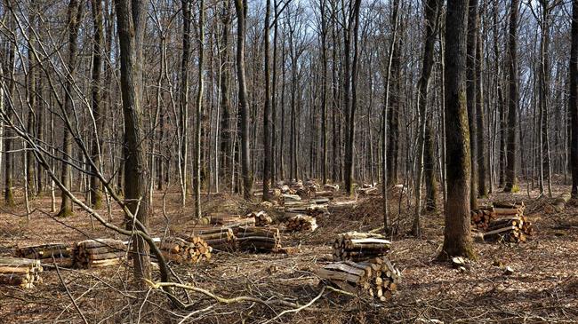 Βιώσιμη χρηματοδότηση: Προς ένα κοινό σύστημα ταξινόμησης των πράσινων επενδύσεων