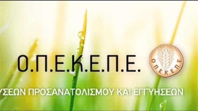 ΟΠΕΚΕΠΕ: Ανοιχτή Δημόσια Διαβούλευση προκήρυξης στο ΕΣΗΔΗΣ για την παροχή υπηρεσιών για το έτος 2021