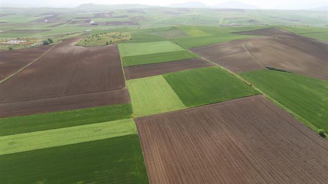 Δ. Ιωαννίνων: Προχωράει το Τεχνολογικό Πάρκο στην Πεδινή