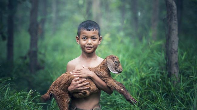 Thirty countries will benefit as Global Environment Facility funds FAO-led projects