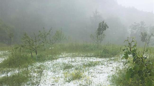 Κόκκαλης: Άμεσες αποζημιώσεις για τους πληγέντες αγρότες από χαλαζόπτωση και μεταρρύθμιση του ΕΛΓΑ