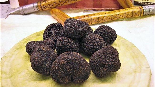 Πρώτη πανελλήνια γιορτή τρούφας στην Καλαμπάκα από 8 έως 11 Ιουνίου